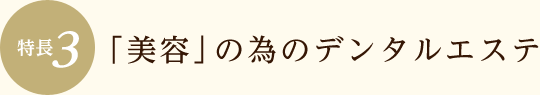 美容の為のデンタルエステ